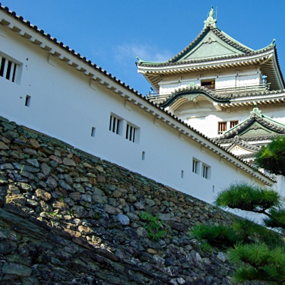 Wakayama Castle Image